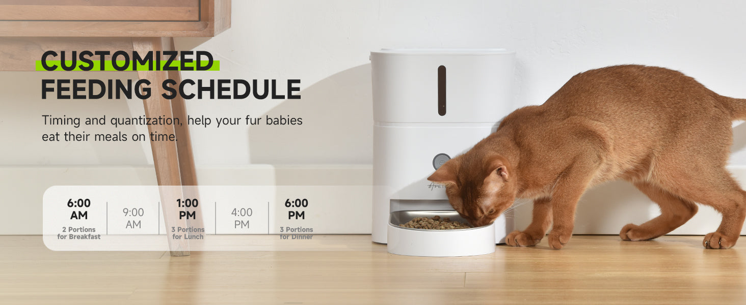 View of Automatic Cat Feeder + Smart App – Cat Water Fountains Australia