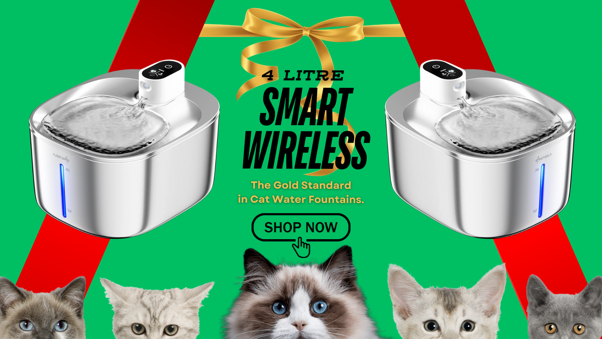 Cat Water Fountains Australia: Better Range & Prices