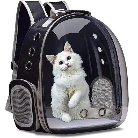 Transparent Capsule Cat Backpack Carrier