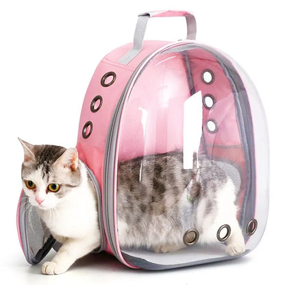 Transparent Capsule Cat Backpack Carrier