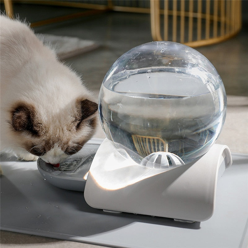 Cordless cat clearance water fountain